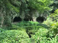 報国寺（竹寺）の写真・動画_image_380276