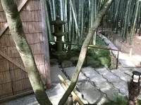 報国寺（竹寺）の写真・動画_image_380306