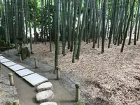 報国寺（竹寺）の写真・動画_image_380318