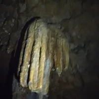 金武宮の写真・動画_image_380335