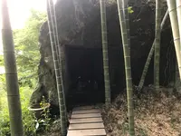 報国寺（竹寺）の写真・動画_image_380398