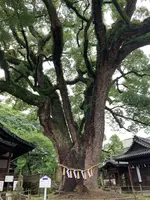 艮神社の写真・動画_image_380414