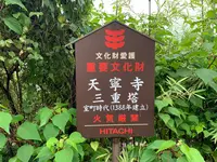 天寧寺の写真・動画_image_380421