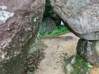 文学のこみちの写真・動画_image_380450