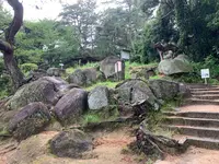 文学のこみちの写真・動画_image_380453