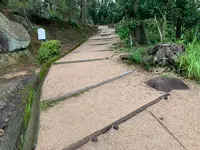 文学のこみちの写真・動画_image_380454