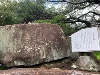 文学のこみちの写真・動画_image_380457