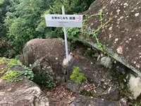 文学のこみちの写真・動画_image_380458