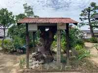 持光寺の写真・動画_image_380578