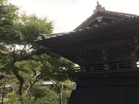 報国寺（竹寺）の写真・動画_image_380659