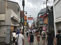 報国寺（竹寺）の写真・動画_image_380672