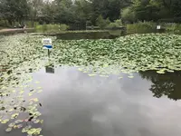 せせらぎ公園の写真・動画_image_381018
