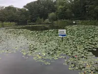 せせらぎ公園の写真・動画_image_381019