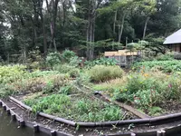 せせらぎ公園の写真・動画_image_381033