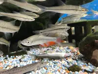 せせらぎ公園の写真・動画_image_381119