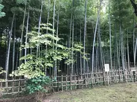 せせらぎ公園の写真・動画_image_381123