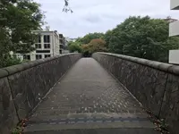 せせらぎ公園の写真・動画_image_381127