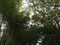 せせらぎ公園の写真・動画_image_381130