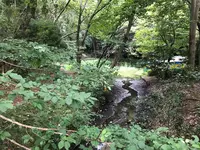 せせらぎ公園の写真・動画_image_381134