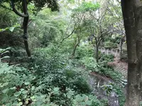 せせらぎ公園の写真・動画_image_381139