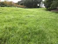 せせらぎ公園の写真・動画_image_381141