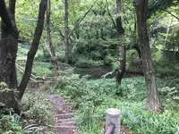せせらぎ公園の写真・動画_image_381146