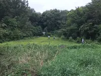 せせらぎ公園の写真・動画_image_381149