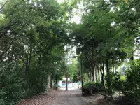 せせらぎ公園の写真・動画_image_381151