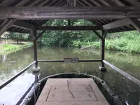 せせらぎ公園の写真・動画_image_381152