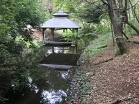 せせらぎ公園の写真・動画_image_381154