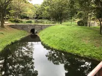 せせらぎ公園の写真・動画_image_381155