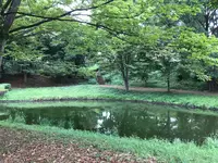 せせらぎ公園の写真・動画_image_381156