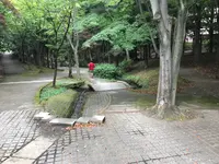 せせらぎ公園の写真・動画_image_381163