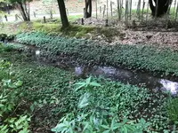せせらぎ公園の写真・動画_image_381164