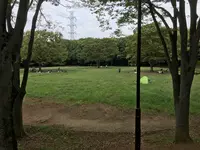 せせらぎ公園の写真・動画_image_381166