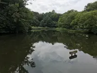せせらぎ公園の写真・動画_image_381167