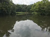 せせらぎ公園の写真・動画_image_381168