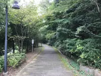 せせらぎ公園の写真・動画_image_381175