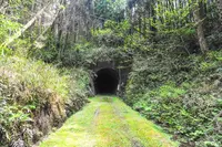 旧国鉄宮原線遊歩道の写真・動画_image_381380