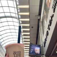 タピオカ DINGTEA 元町の写真・動画_image_381476