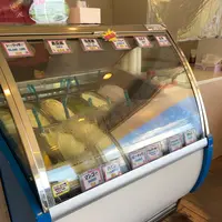 ミルミル本舗の写真・動画_image_381679