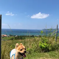 ミルミル本舗の写真・動画_image_381681