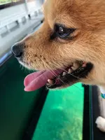 川平湾の写真・動画_image_381687