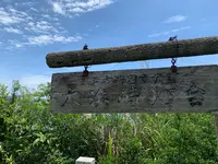 大浜埼燈台の写真・動画_image_381699