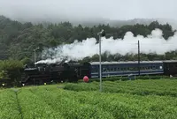 フォーレなかかわね茶茗舘の写真・動画_image_381737