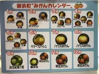 道の駅「パーク七里御浜」の写真・動画_image_381747