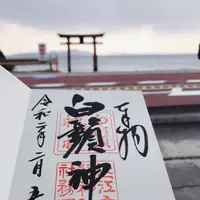 白鬚神社の写真・動画_image_381755