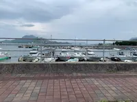 因島の写真・動画_image_381824