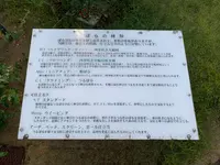 ばら公園の写真・動画_image_382014