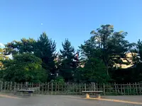 福山城の写真・動画_image_382075